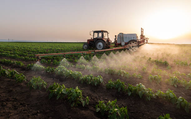 Best Pest Control for Homes  in Tillmans Corner, AL