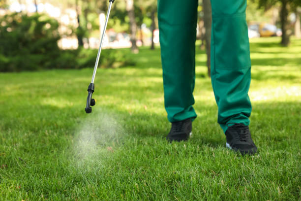 Best Exterminator Services  in Tillmans Corner, AL