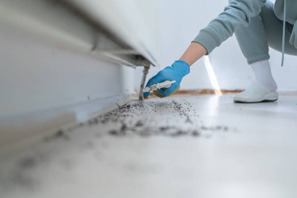 Best Pest Control for Businesses  in Tillmans Corner, AL